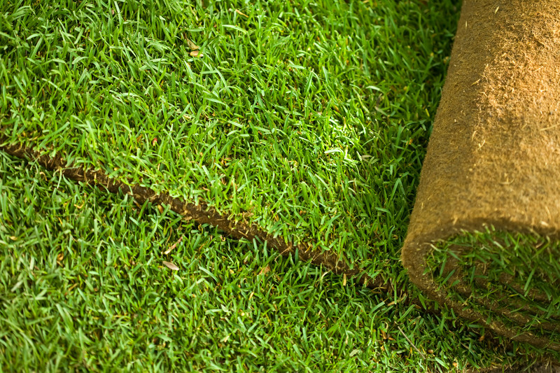 Turf Repairs